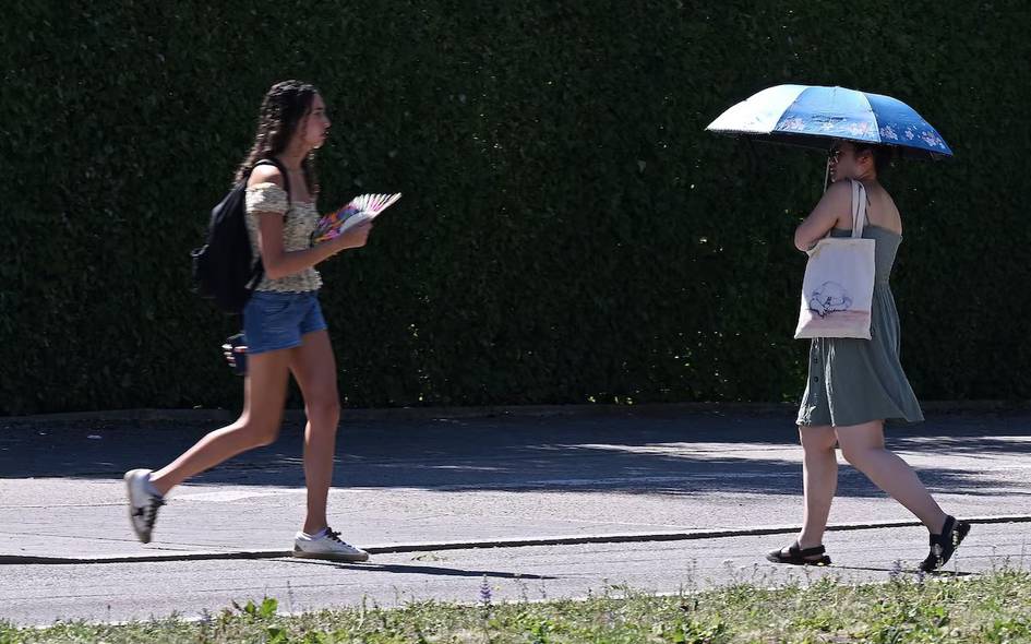 Германияда ҳаво ҳарорати 41 даражадан ошди, Европадаги жазирама шарққа силжимоқда